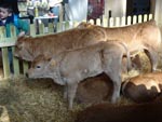 Salon de l'agriculture 2018