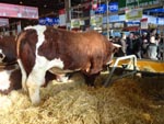 Salon de l'agriculture 2018