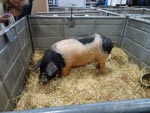 Salon de l'agriculture 2018