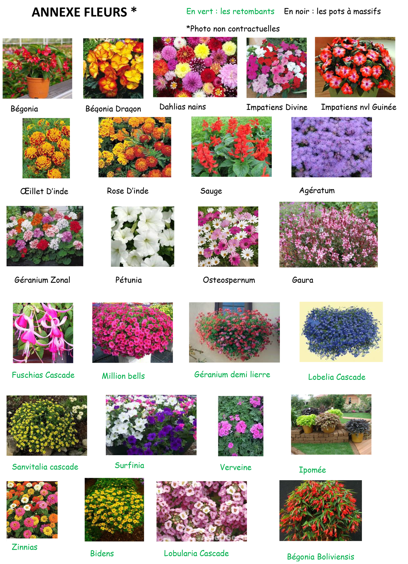 ANNEXE FLEURS 2024