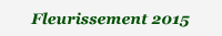 fleurissement de Cleurie en 2015