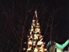 sapin bois04 v