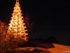 sapin bois05 v