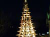 sapin bois06 v