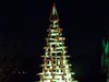 sapin bois07 v