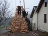 sapin bois09 v