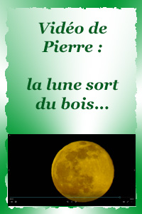 La lune sort du bois...