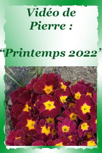 Images du printemps 