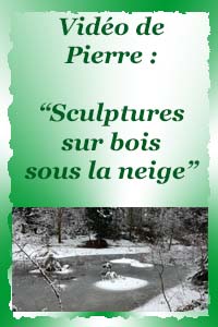 Les sculptures sur bois sous la neige