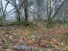 savoyen06 v