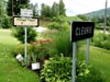 Fleurissement de Cleurie en 2017 - les jeux