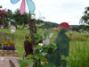 fleurs2018 15 v