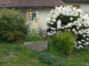 Fleurs à Cleurie en 2019 - l'alphabet