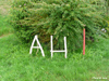 Fleurs à Cleurie en 2019 - l'alphabet