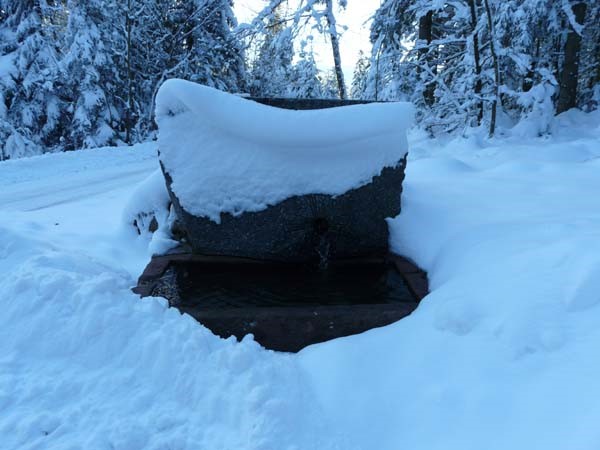 Fontaine du col du Singe sous la neige