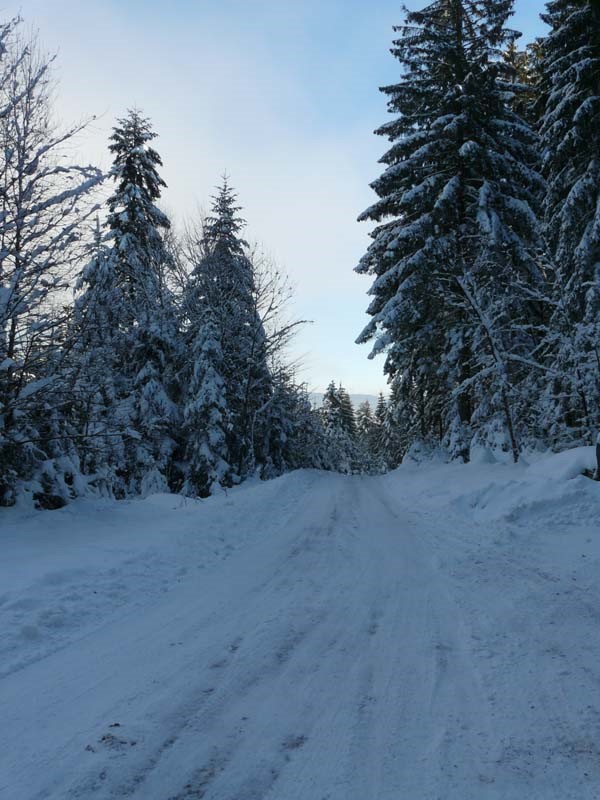 Cleurie sous la neige Chemin forestier de Cleurie sous la neige