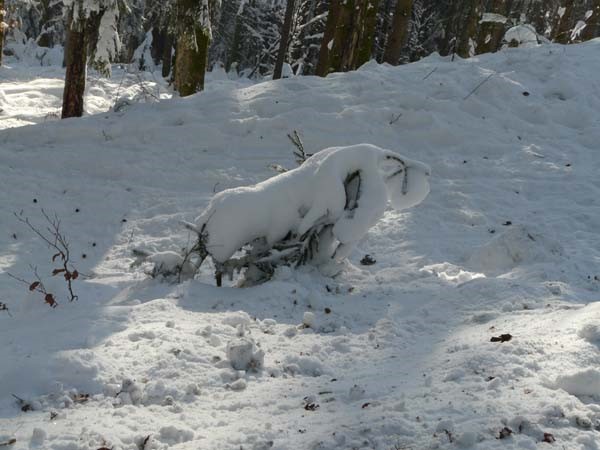 Cleurie sous la neige Drôle de formes enneigées