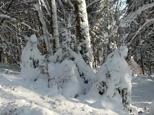 Cleurie sous la neige Drôle de formes enneigées