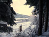 neige03 v