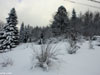neige07 v