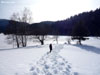 neige11 v
